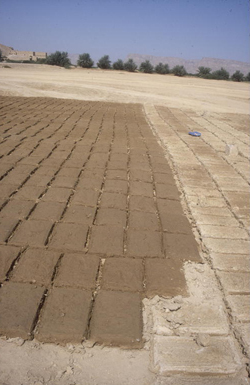 Mud bricks drying