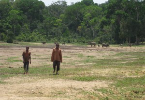 Bayaka walking on Dzanga Bai – their indigenous, ancestral and customary hunting ground – Photo by John Nelson