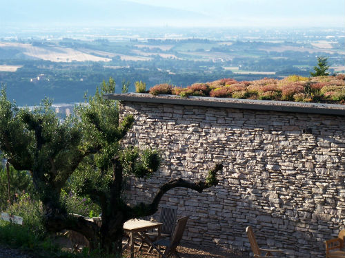 A green roof has multiple benefits including improved insulation. Image courtesy Casambiente