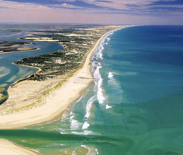 The Coorong's long, shallow brackish lagoon stretches south from the Murray Mouth for around 140km running parallel to the coastal dunes. 