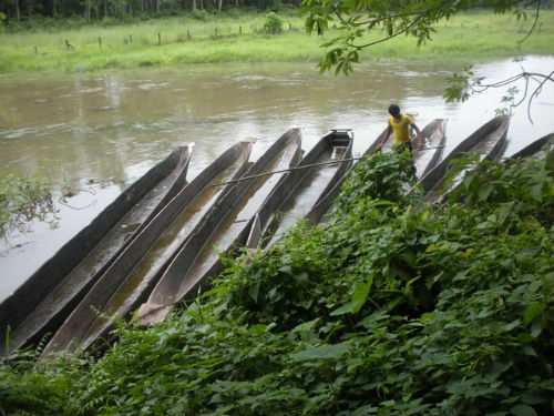 Chitwan canoes 