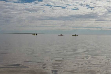 Distant kayaks on Lake Torrens - Photo © Alastair Wood
