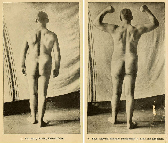 Two photographs showing Sullivan’s physique in the “Report of Dr D.A. Sargent’s Examination”, and appendage to Sullivan’s autobiography, Life and Reminiscences of a 19th Century Gladiator (1892)