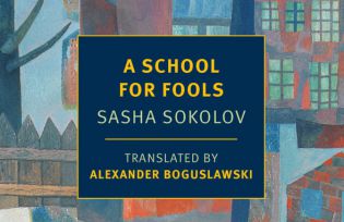 ‘A School for Fools by Sasha Sokolov