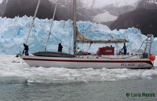 The Pelagic at the glacier in Seno Pia. Photo © Lara Novak
