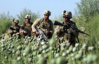 US troops in Afghan opium field