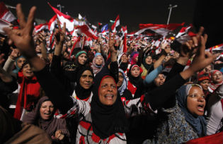 The Egyptian revolution