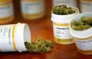 Medicinal cannabis - photo from www.newsfood.com