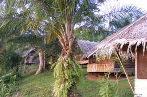 Sangha Lodge, overlooking the Sangha River - Photo by John Nelson Sangha Lodge, overlooking the Sangha River - Photo by John Nelson