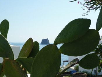 Prickly pears and Strombolicchio - photo by A. Quattrocchi Prickly pears and Strombolicchio - photo by A. Quattrocchi