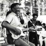 Muddy Waters