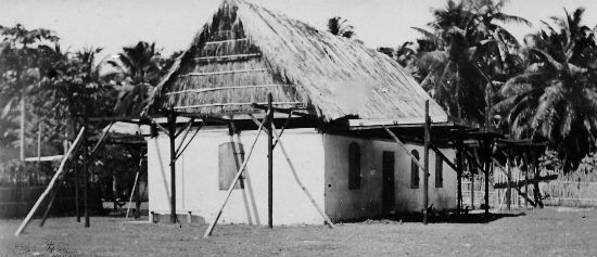 The coconut oil store