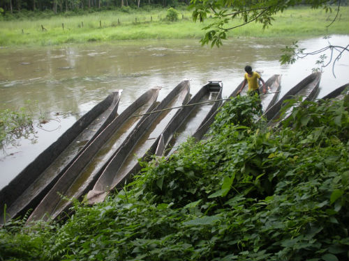 Chitwan canoes