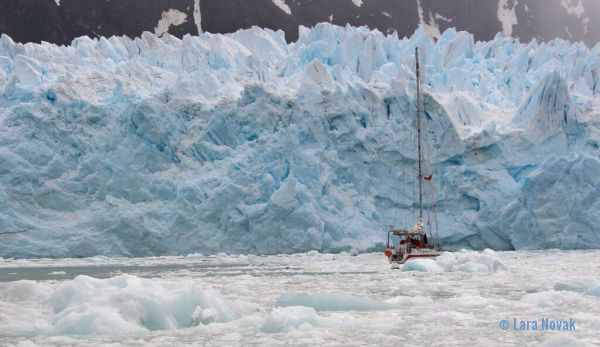 Glacier in the western arm of Seno Pia. Photo © Lara Novak