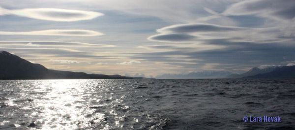 Southern sky. Photo © Lara Novak