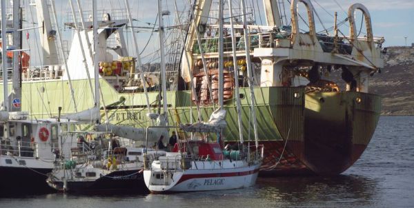 The Pelagic moored in Stanley's inner harbour. Photo by Marco Alberti